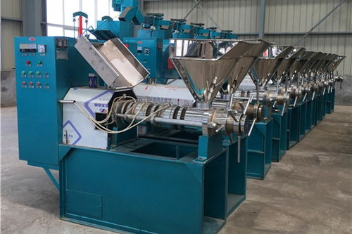 内江兴昌 专业生产销售榨油机设备的可靠伙伴